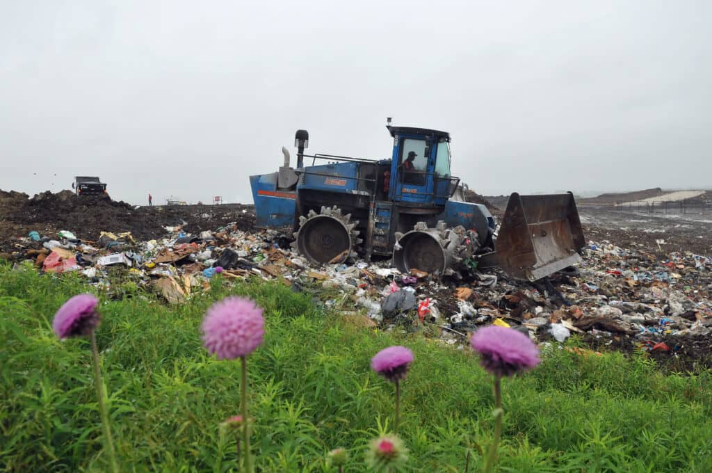 Landfill Compactor with Flowers  scaled